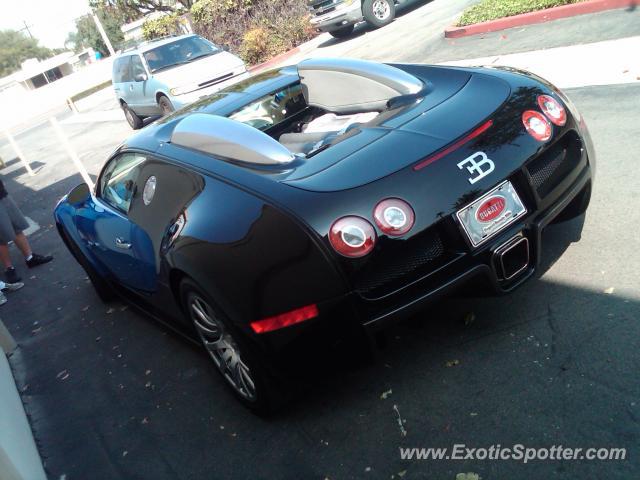 Bugatti Veyron spotted in Buena Park, CA, California