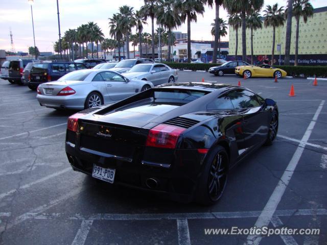 Lamborghini Gallardo spotted in Houston, Texas