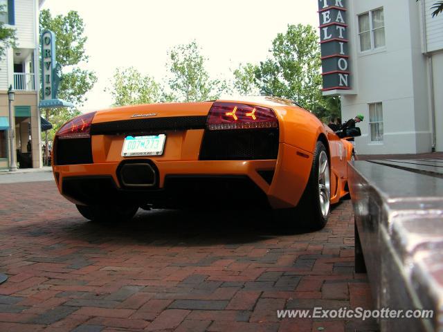 Lamborghini Murcielago spotted in Celebration, Florida, United States