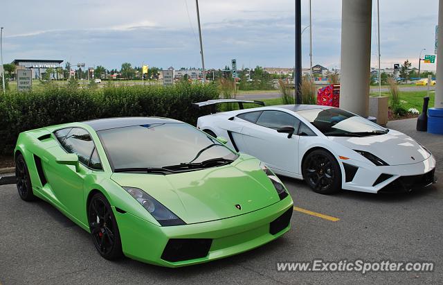 Lamborghini Gallardo spotted in Edmonton, Canada