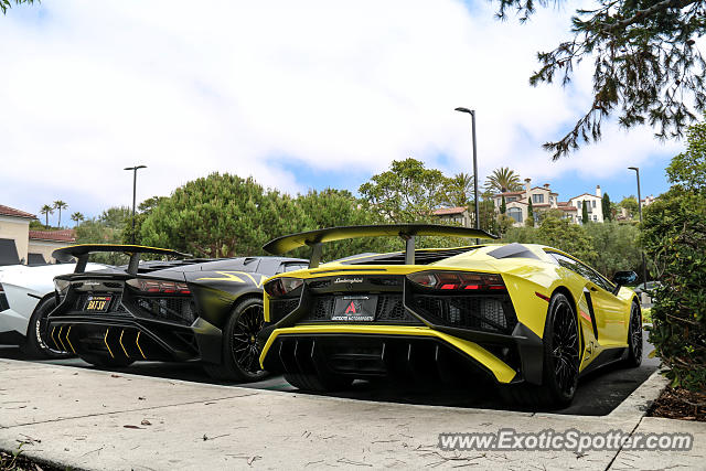 Lamborghini Aventador spotted in Newport Beach, California