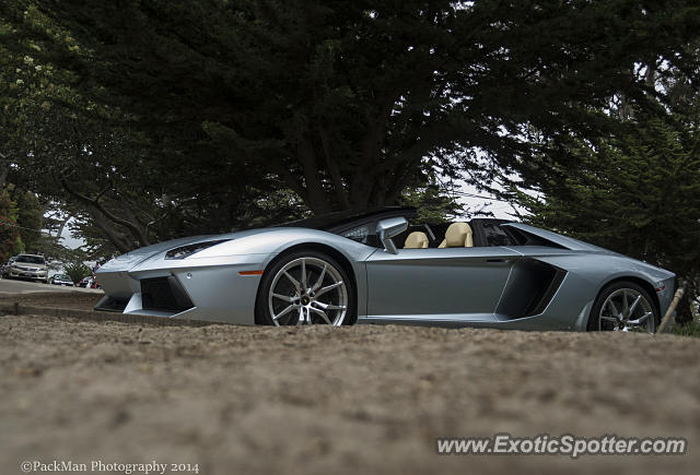 Lamborghini Aventador spotted in Carmel, California