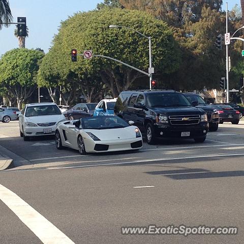 Lamborghini Gallardo spotted in Beverly Hills, California