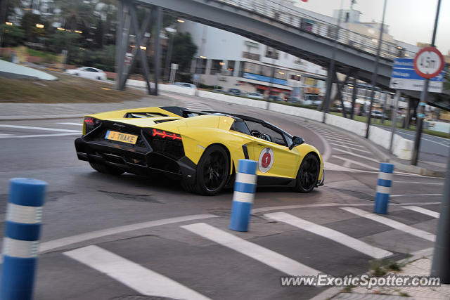 Lamborghini Aventador spotted in San Pedro, Spain