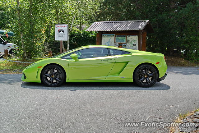 Lamborghini Gallardo spotted in Vancouver, Canada