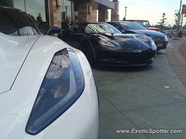 Chevrolet Corvette Z06 spotted in Lone tree, Colorado