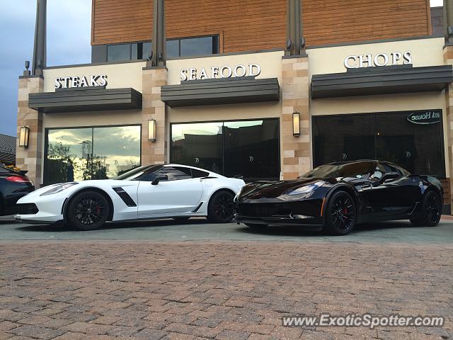 Chevrolet Corvette Z06 spotted in Lone tree, Colorado