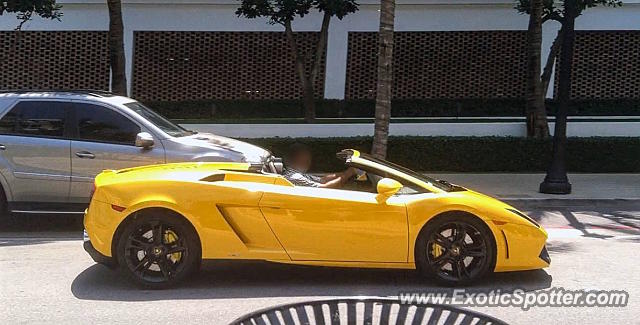 Lamborghini Gallardo spotted in Palm Beach, Florida