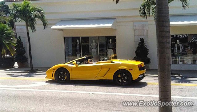 Lamborghini Gallardo spotted in Palm Beach, Florida