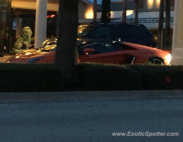 Lamborghini Aventador spotted in Jacksonville, Florida