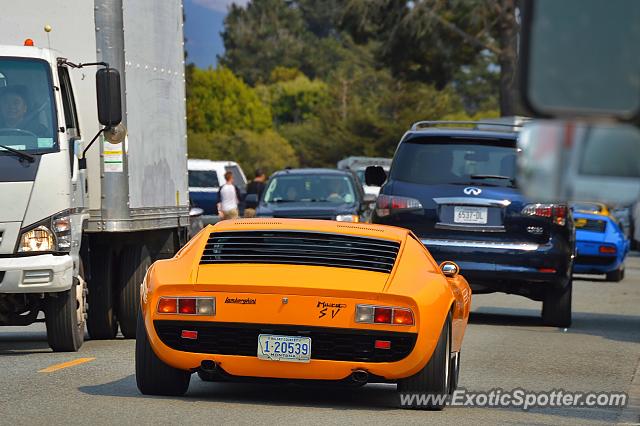 Lamborghini Miura spotted in Carmel Valley, California