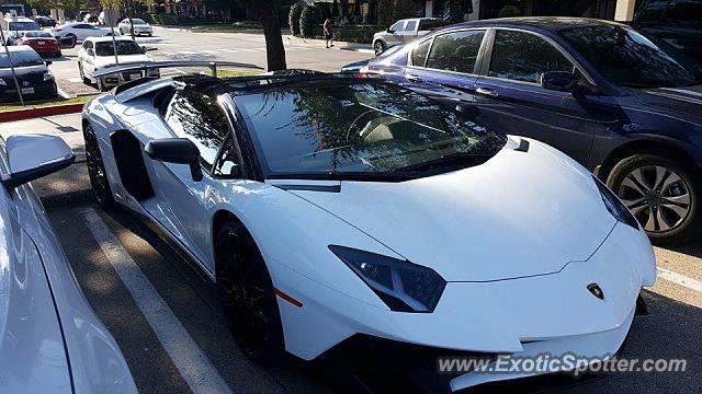 Lamborghini Aventador spotted in Dallas, Texas