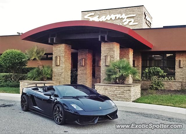 Lamborghini Gallardo spotted in Jacksonville, Florida