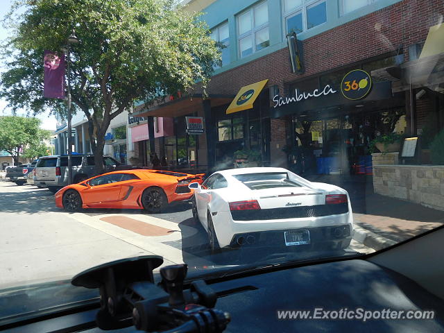 Lamborghini Gallardo spotted in Dallas, Texas