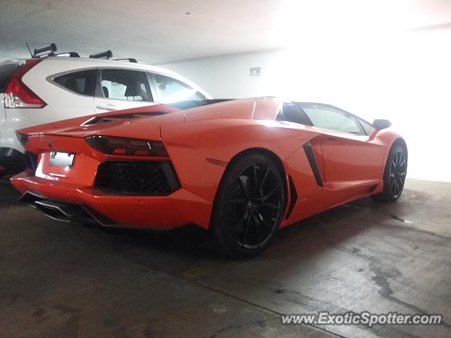 Lamborghini Aventador spotted in Cherry Creek, Colorado