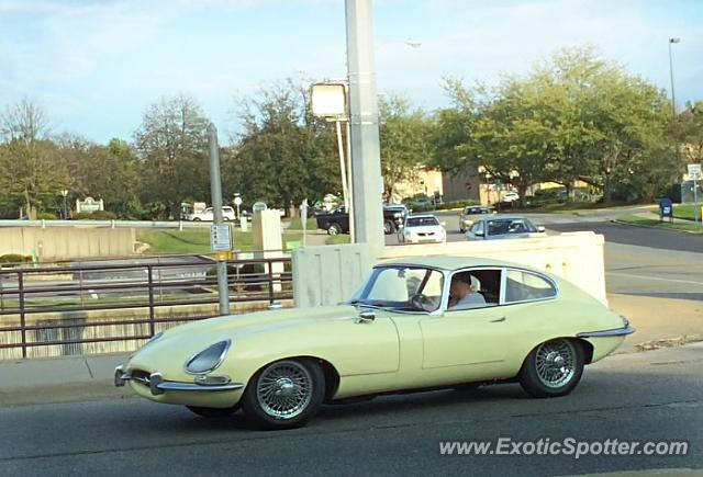 Jaguar E-Type spotted in Bloomington, Indiana