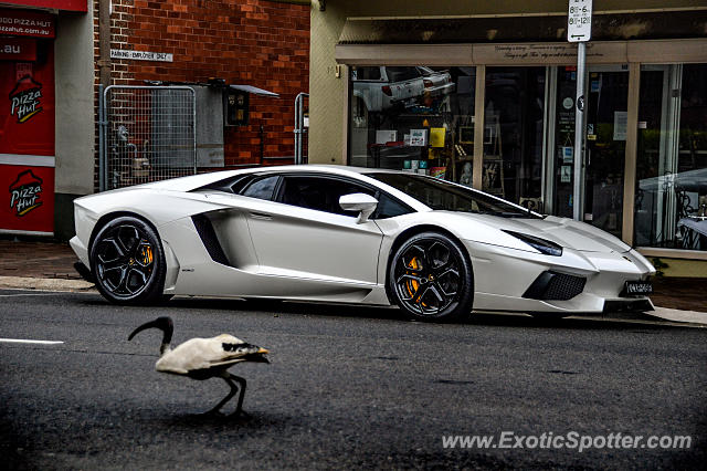 Lamborghini Aventador spotted in Sydney, Australia