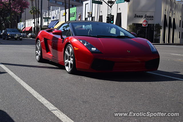 Lamborghini Gallardo spotted in Beverly Hills, California