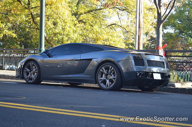 Lamborghini Gallardo spotted in Summit, New Jersey