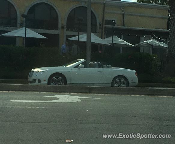 Bentley Continental spotted in Jacksonville, Florida