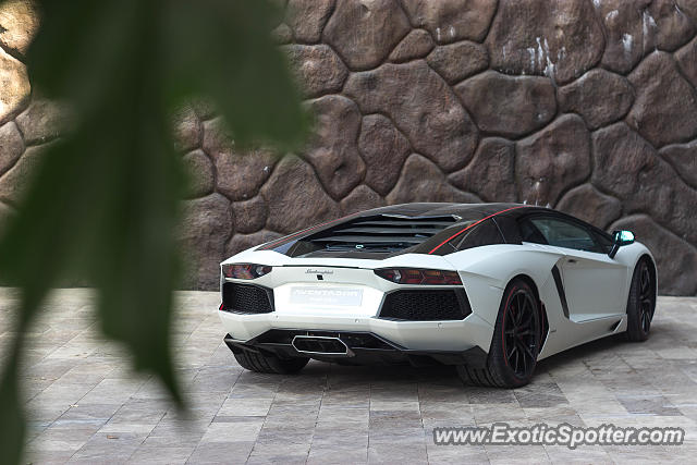 Lamborghini Aventador spotted in Netivot, Israel