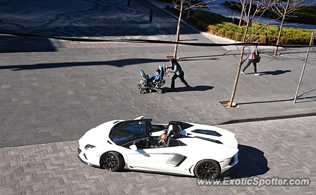 Lamborghini Aventador spotted in Toronto, Ontario, Canada