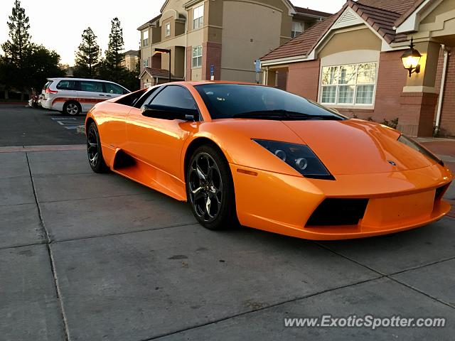 Lamborghini Murcielago spotted in San Jose, California