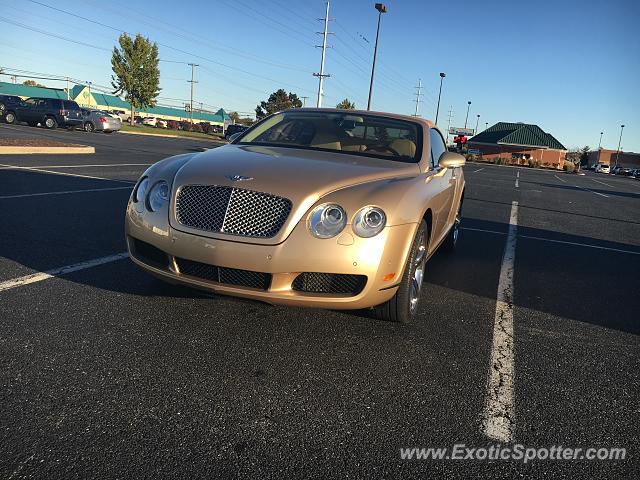 Bentley Continental spotted in Rehoboth beach, Delaware