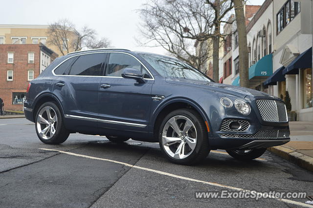 Bentley Bentayga spotted in Greenwich, Connecticut