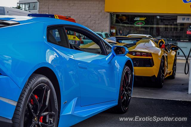 Lamborghini Huracan spotted in Auckland, New Zealand