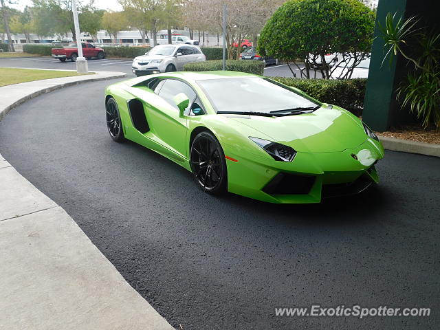 Lamborghini Aventador spotted in Oldsmar, Florida