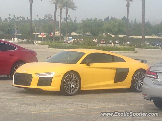 Audi R8 spotted in Arcadia, California