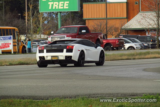 Lamborghini Gallardo spotted in CDA, Idaho