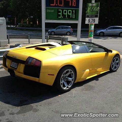 Lamborghini Murcielago spotted in Vienna, Virginia