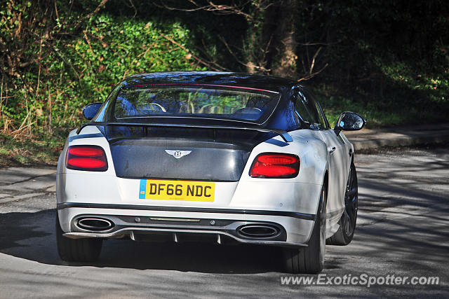 Bentley Continental spotted in Bramham, United Kingdom