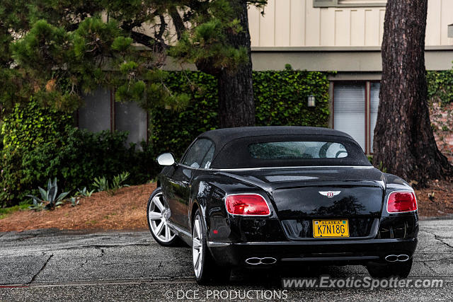 Bentley Continental spotted in Carmel, California