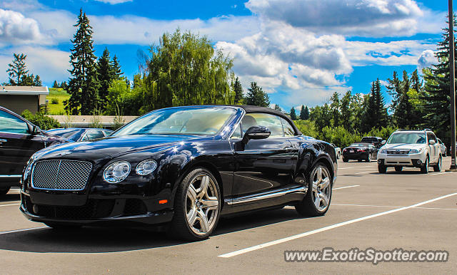 Bentley Continental spotted in Calgary, Canada