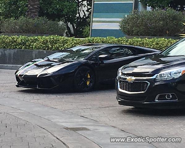 Lamborghini Aventador spotted in Miami Beach, Florida