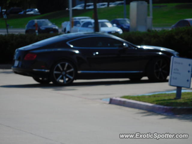 Bentley Continental spotted in Dallas, Texas