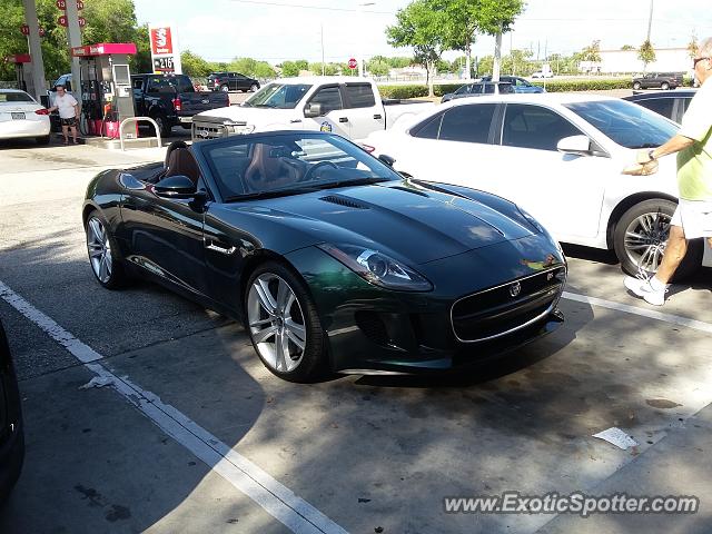 Jaguar F-Type spotted in Riverview, Florida