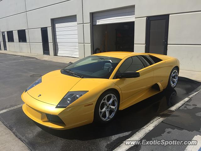 Lamborghini Murcielago spotted in Salt Lake City, Utah