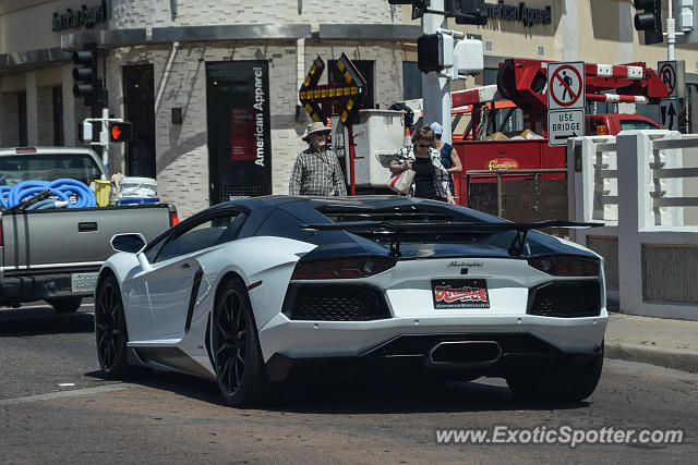 Lamborghini Aventador spotted in Scottsdale, Arizona