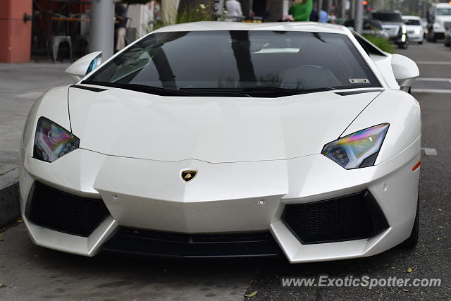 Lamborghini Aventador spotted in Beverly Hills, California