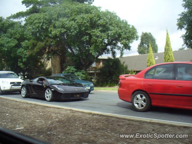 Lamborghini Gallardo spotted in Adelaide, Australia