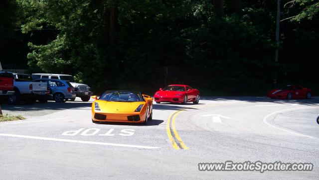 Lamborghini Gallardo spotted in San francisco, California