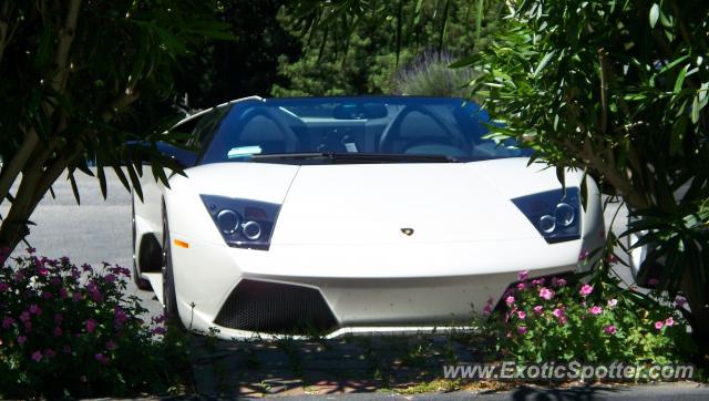 Lamborghini Murcielago spotted in San francisco, California