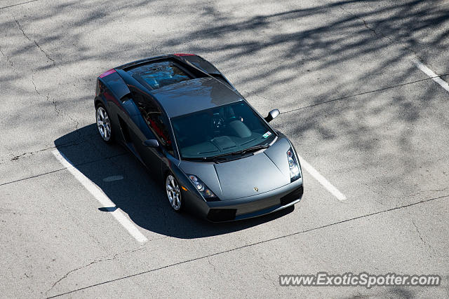 Lamborghini Gallardo spotted in Pittsburgh, Pennsylvania