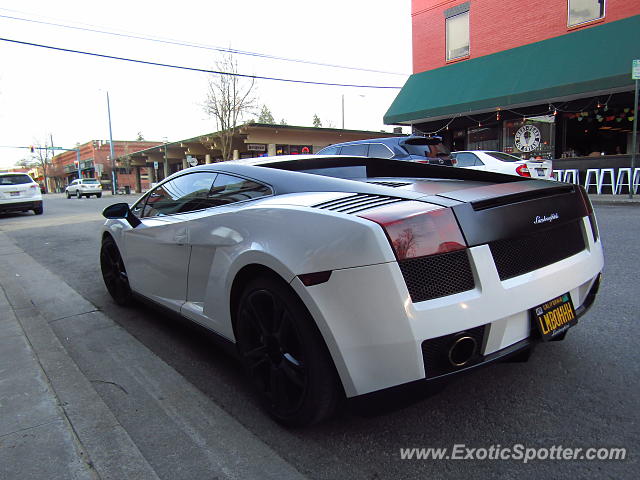 Lamborghini Gallardo spotted in CdA, Idaho