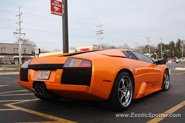 Lamborghini Murcielago spotted in Barrington, Illinois