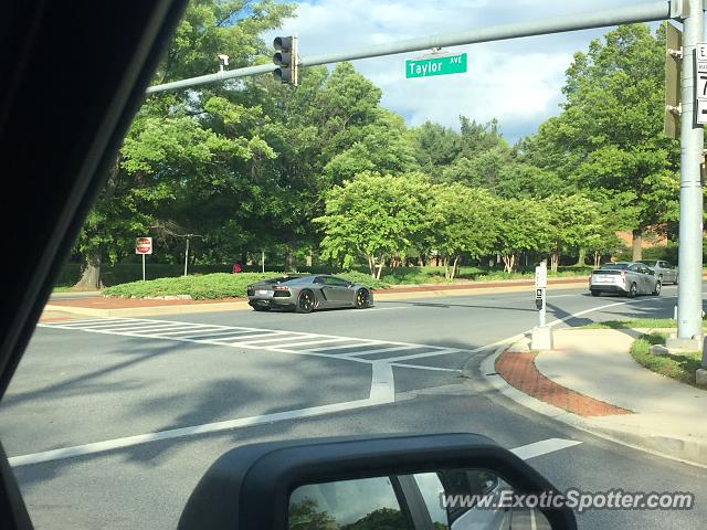 Lamborghini Aventador spotted in Annapolis, Maryland